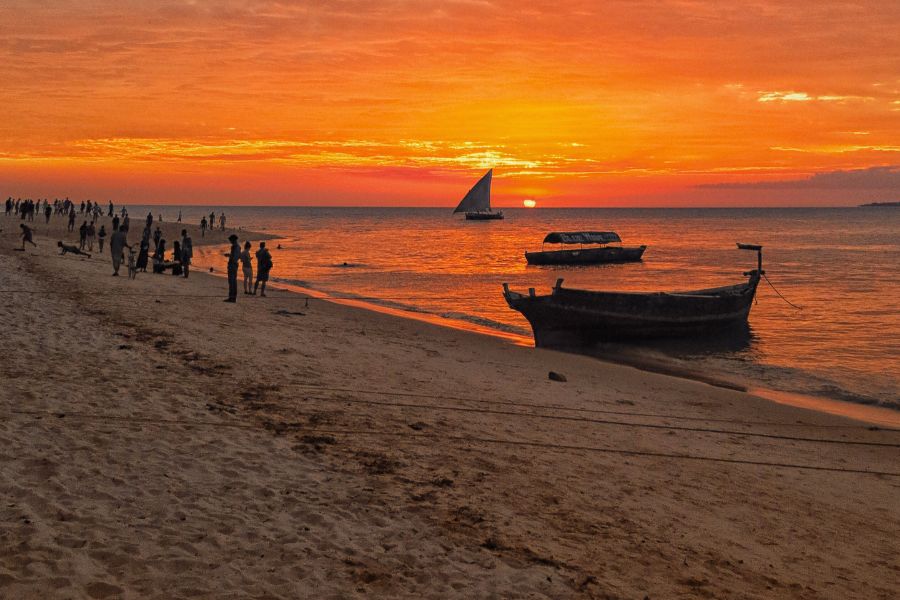 Choosing Between Self-Guided and Guided Tours in Zanzibar