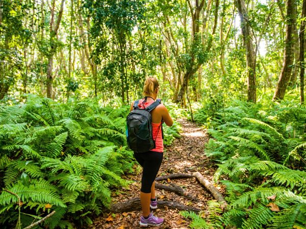 Visit Zanzibar’s Hidden Natural Paradise Jozani Forest